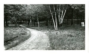 Historic Pine-Hickory Woods Trail