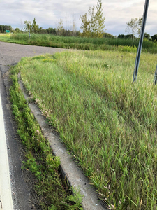 Curb in the grass, Vineland Historical Marker